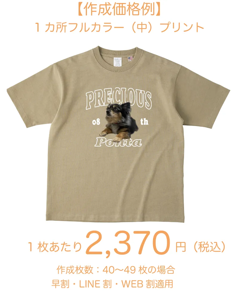 USAコットンTシャツ