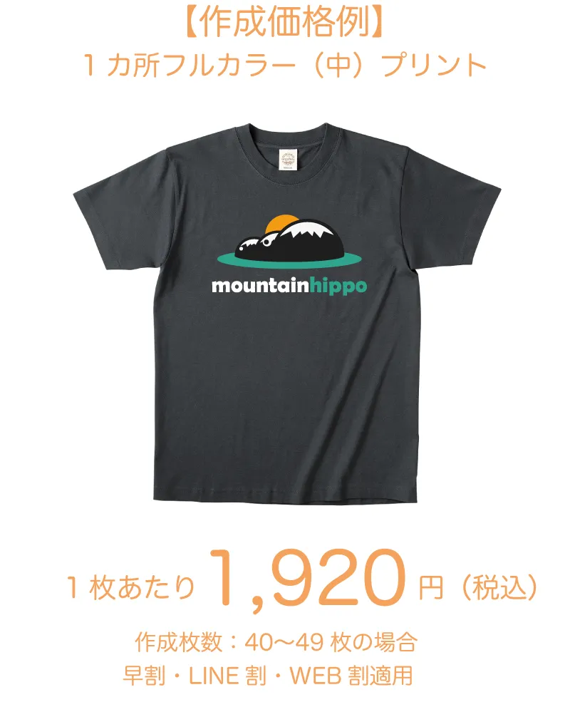 TRUSSオーガニックコットンTシャツ